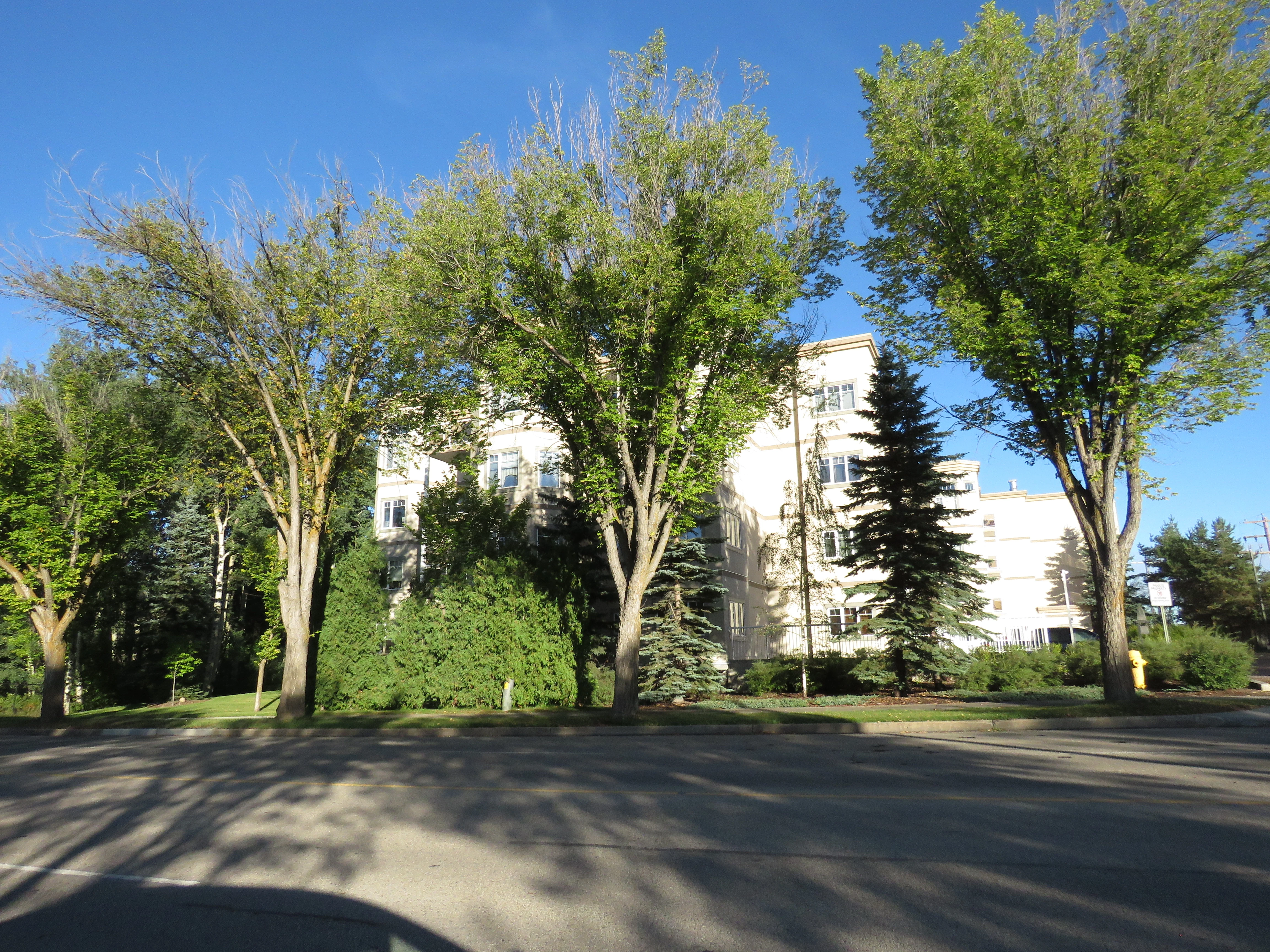 Ravine Park on Gate in St. Albert, AB