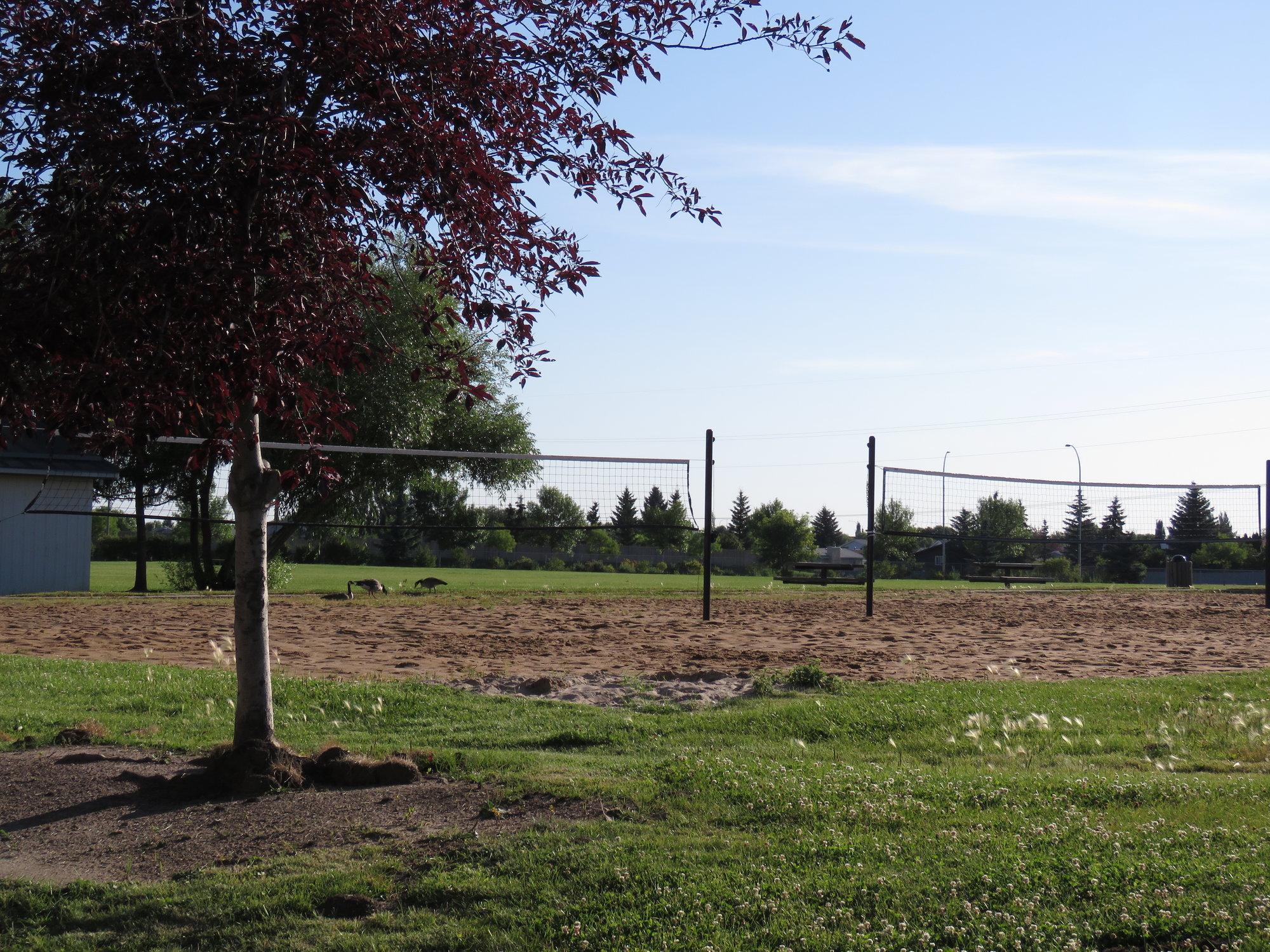 Holy Spirit Elementary School Outdoor Volleyball Courts, Sherwood Park, AB